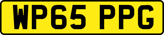 WP65PPG
