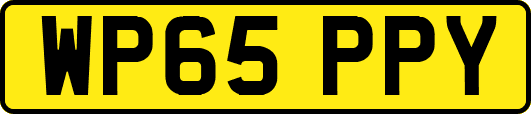 WP65PPY
