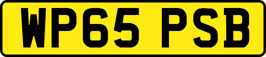 WP65PSB