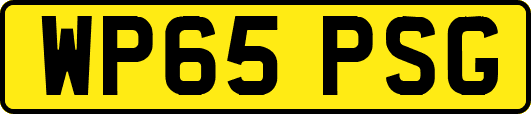 WP65PSG