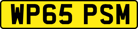WP65PSM