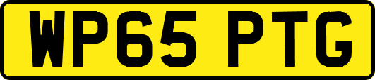 WP65PTG