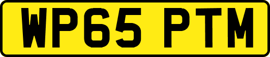 WP65PTM