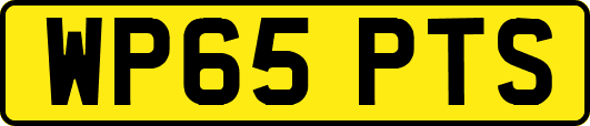 WP65PTS