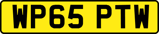 WP65PTW