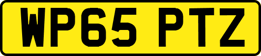 WP65PTZ