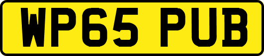 WP65PUB