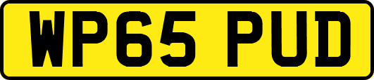 WP65PUD