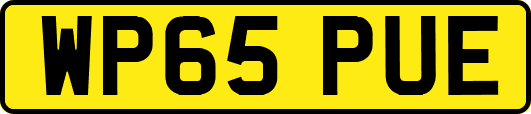 WP65PUE