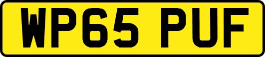 WP65PUF