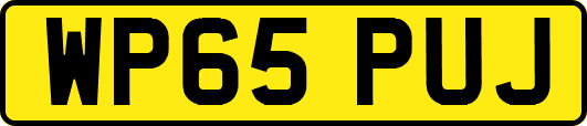 WP65PUJ
