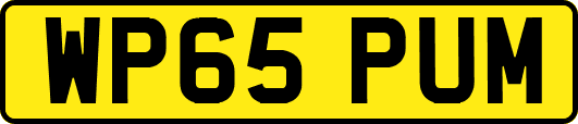WP65PUM