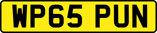 WP65PUN