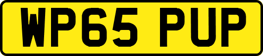 WP65PUP