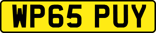 WP65PUY
