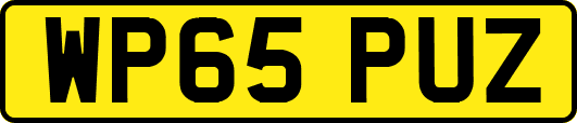 WP65PUZ