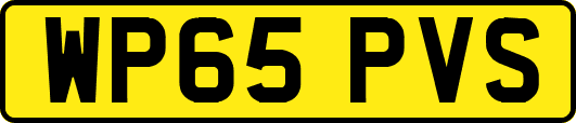 WP65PVS