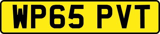 WP65PVT