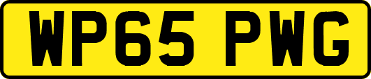 WP65PWG