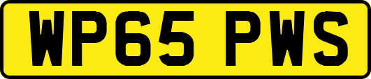 WP65PWS