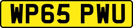 WP65PWU
