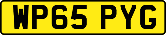 WP65PYG