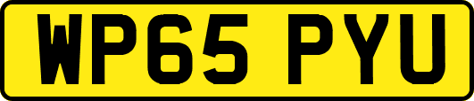 WP65PYU