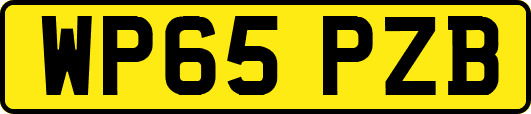 WP65PZB