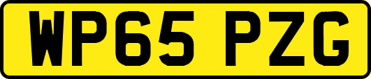 WP65PZG