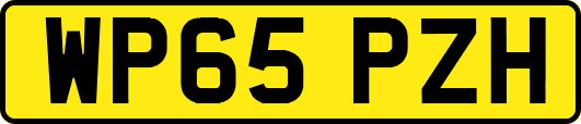WP65PZH