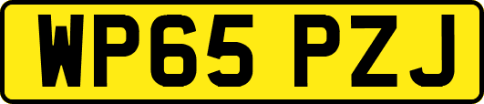 WP65PZJ