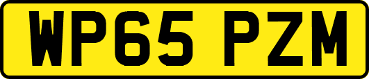 WP65PZM