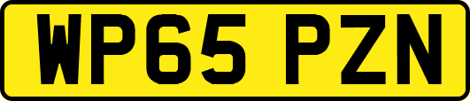 WP65PZN