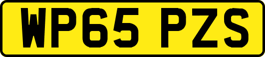 WP65PZS