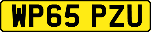 WP65PZU