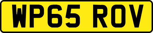 WP65ROV