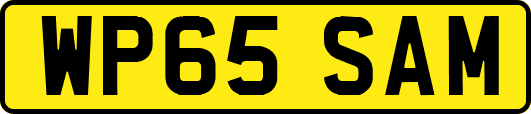 WP65SAM