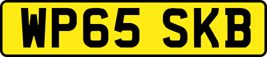 WP65SKB