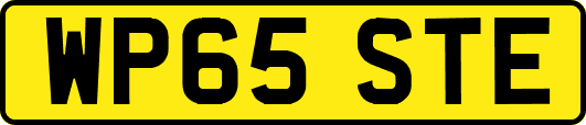 WP65STE