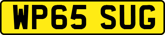 WP65SUG