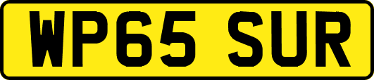 WP65SUR