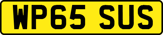 WP65SUS