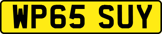 WP65SUY