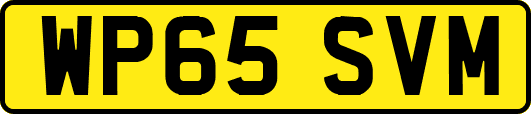WP65SVM