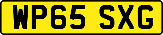WP65SXG