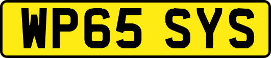 WP65SYS