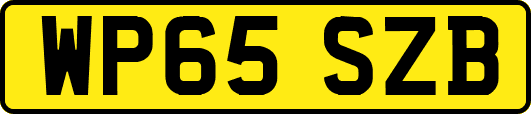WP65SZB