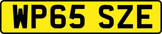 WP65SZE