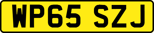 WP65SZJ