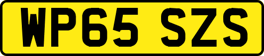WP65SZS
